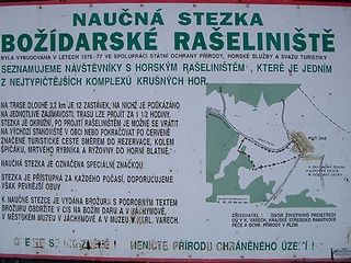 Božídarské rašeliniště