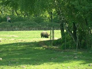 ZOO Chomutov