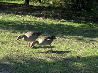 ZOO Chomutov