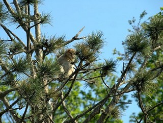 ZOO Chomutov