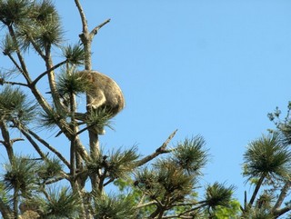 ZOO Chomutov