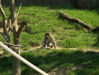 ZOO Chomutov