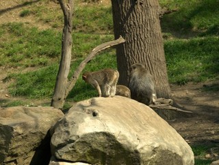 ZOO Chomutov