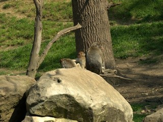 ZOO Chomutov