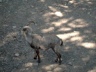 ZOO Chomutov