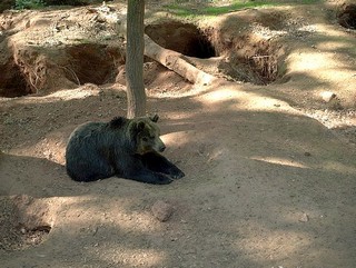 ZOO Chomutov