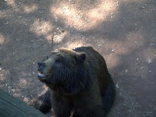 ZOO Chomutov