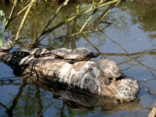 ZOO Chomutov