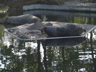 ZOO Chomutov