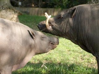 Zoologická zahrada Děčín