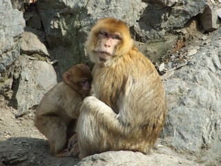 Zoologická zahrada Děčín