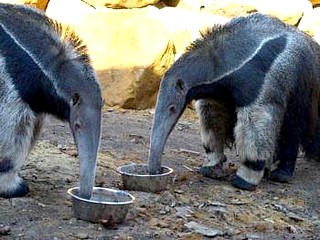 Zoologická zahrada Děčín