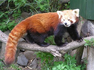 ZOO Ústí nad Labem