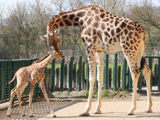 ZOO Ústí nad Labem