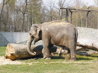 ZOO Ústí nad Labem