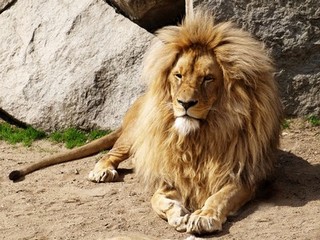 ZOO Ústí nad Labem