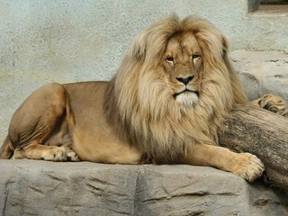 ZOO Ústí nad Labem