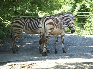 ZOO Ústí nad Labem