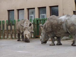 ZOO Ústí nad Labem